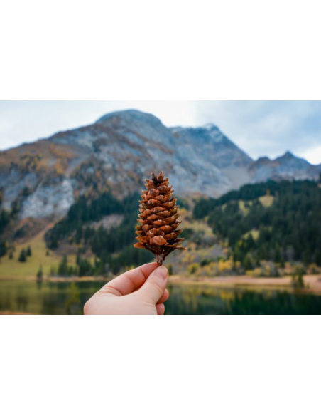 Cours | PIVE (Provocation Incidents de Vol Élémentaires)
