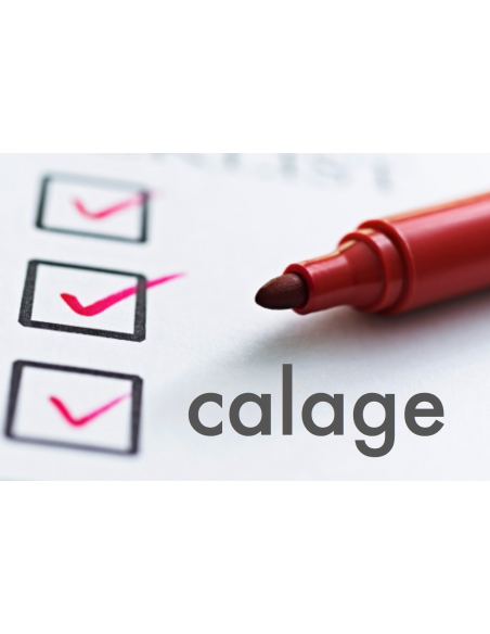 Contrôle CALAGE d'un parapente STANDARD | 80-200 attaches de suspente