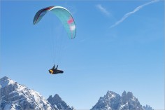 Sellette ARROW P L | 1.82 kg 2