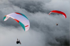 Parapente PI 3 21 | 2.55 kg (60-100 kg) 2