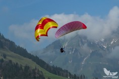 Parachute BEAMER 3 | 2705 g  170 kg max 2