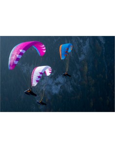Parapente MAESTRO 3 LIGHT 2
