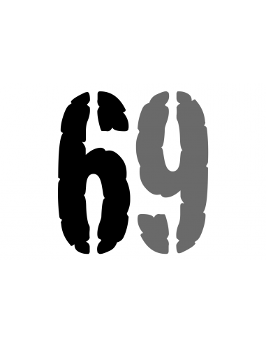 Numéro 6/9 CARGO FSVL en VINYL | 40 cm noir