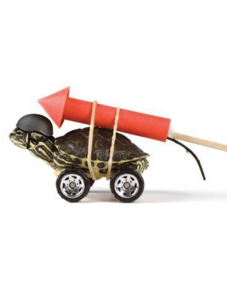 Montage de l'accélérateur sur sellette