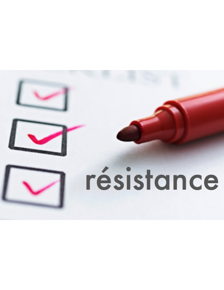 Contrôle de la RÉSISTANCE de 1 à 3 suspentes (sans leurs remplacements)