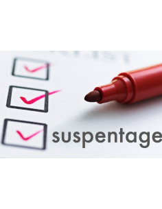 Contrôle du SUSPENTAGE d'un parapente STANDARD | 80 à 200...