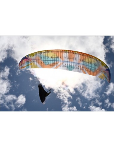 Parapente LYNX 2