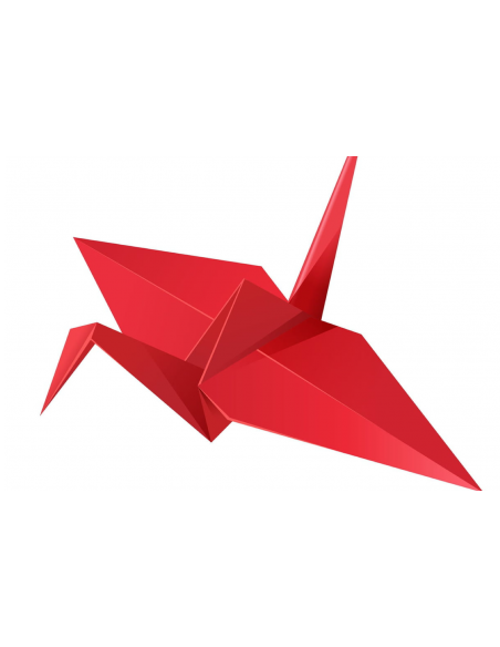 Pliage d'un parachute STANDARD BIPLACE