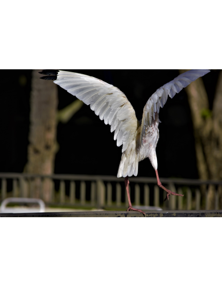 Courses | Take-off