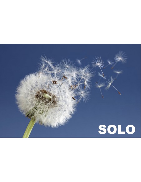 KONTROLLFLUG Gleitschirm SOLO