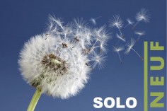 KONTROLLFLUG Gleitschirm SOLO