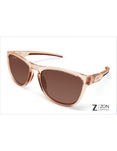 Lunettes MALIBU brun brillant transparent & verres bruns