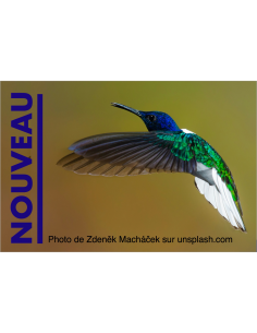 Gleitschirm WHIZZ 3 24 | 2.8 kg (60-120 kg)