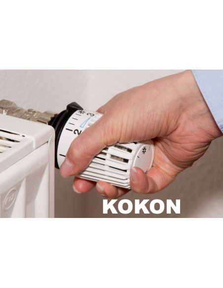 Individuelle Einstellungen und Beratung KOKON | SONDERPREIS